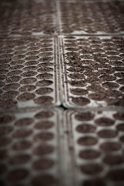 risk reward scatter plot